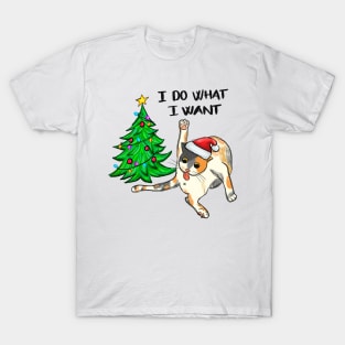 I Do What I Want Funny Cat T-Shirt